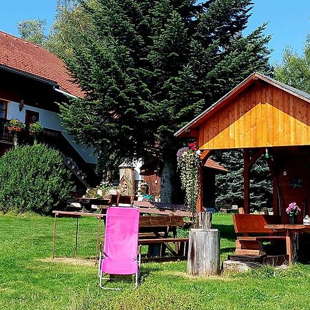 Ubytovani V Sumavskem Dome Nove Hute Kültér fotó